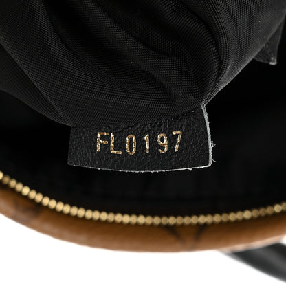 Louis Vuitton Reverse Monogram Palm Springs Backpack Mini 7 of 11