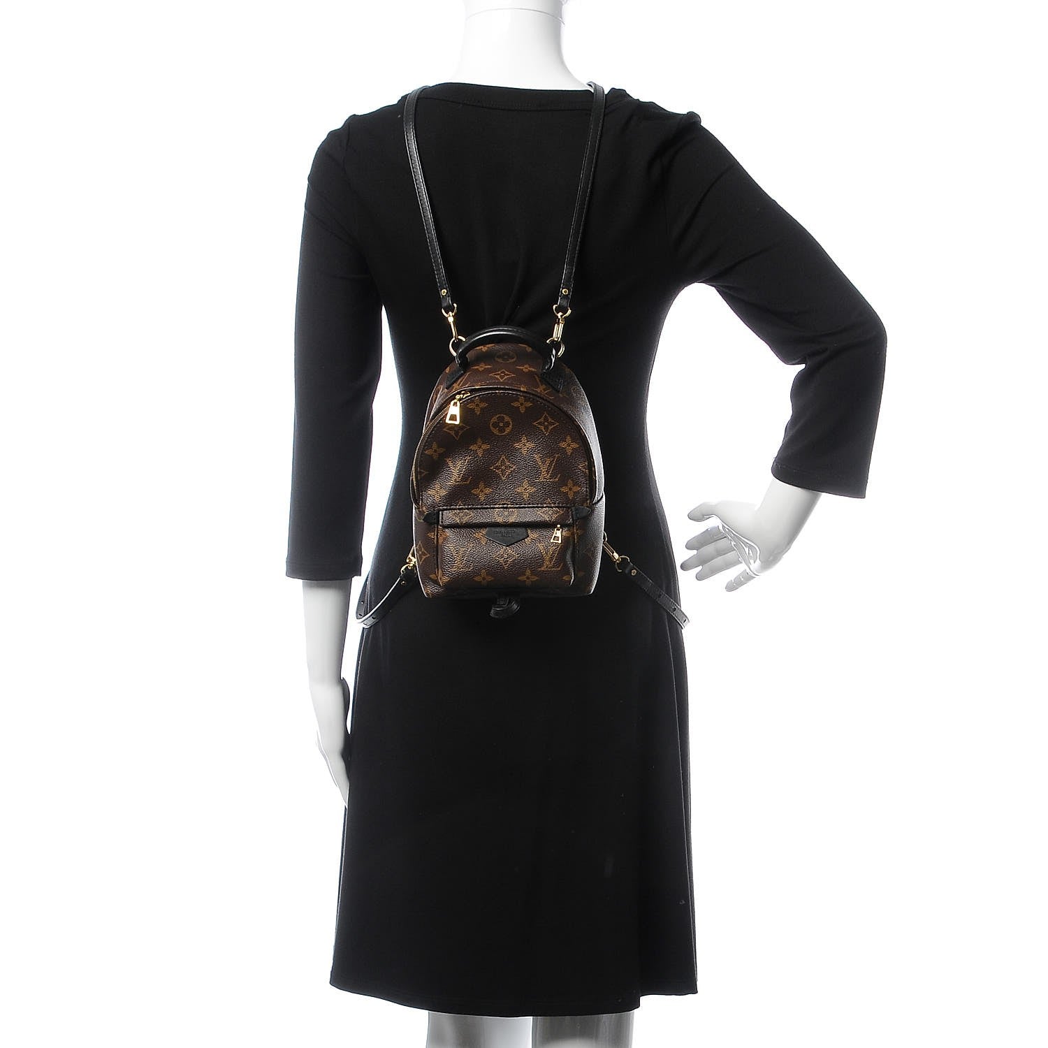 Louis Vuitton Monogram Palm Springs Backpack Mini 2 of 7