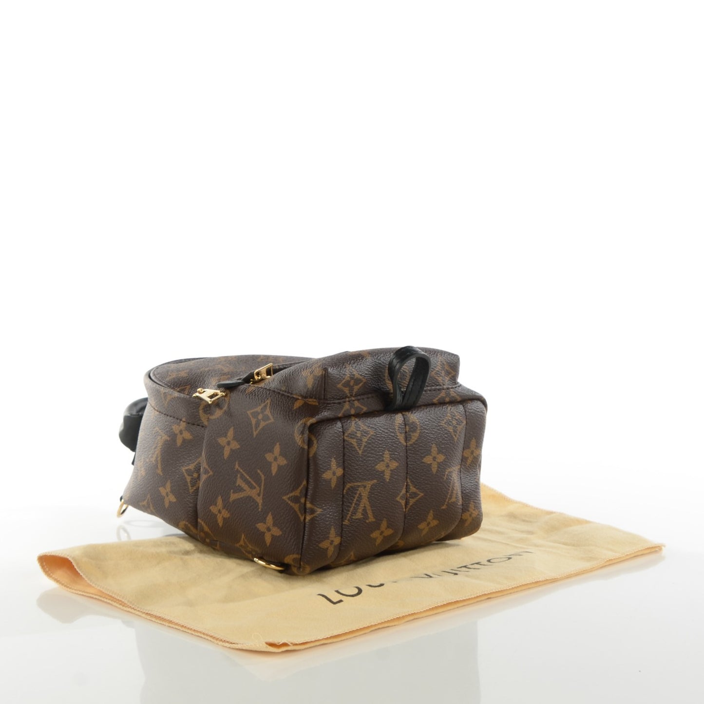 Monogram Palm Springs Backpack Mini
