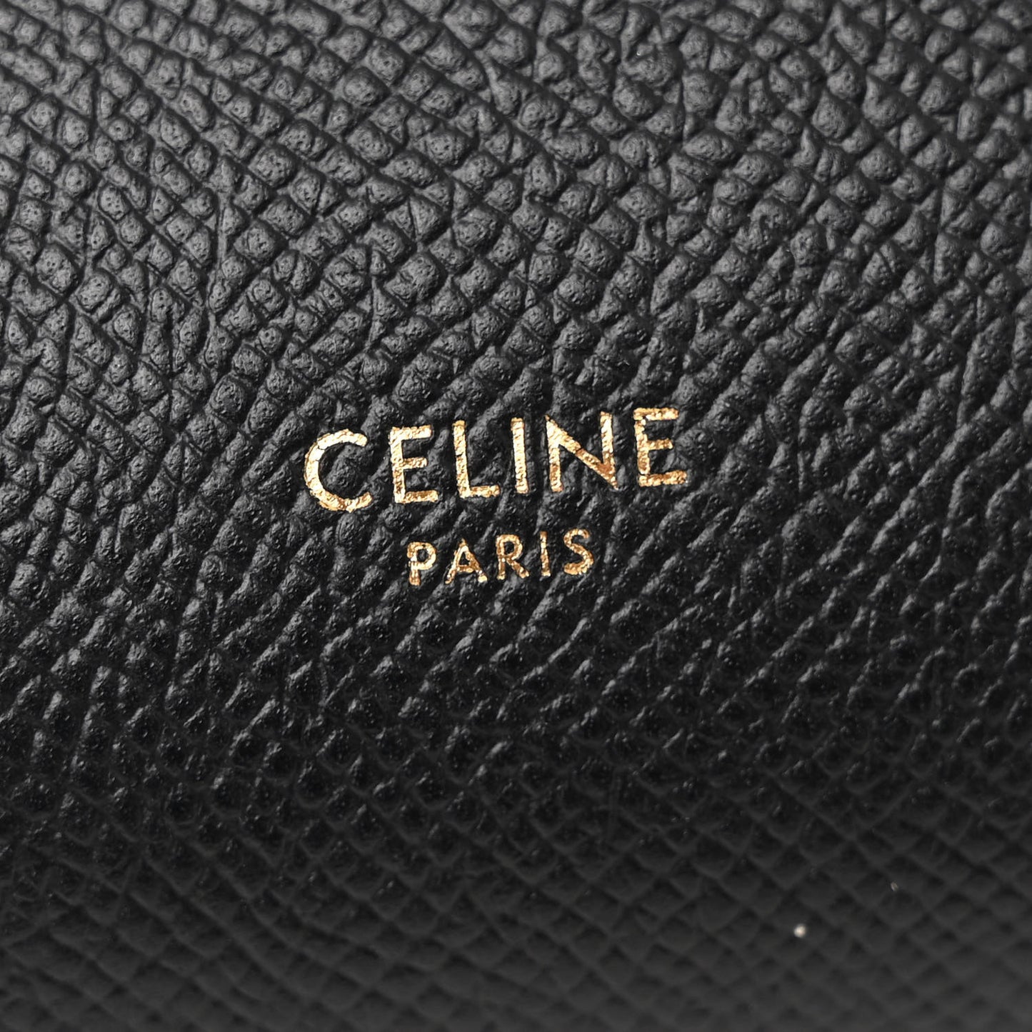 Grained Calfskin Nano Belt Bag Black