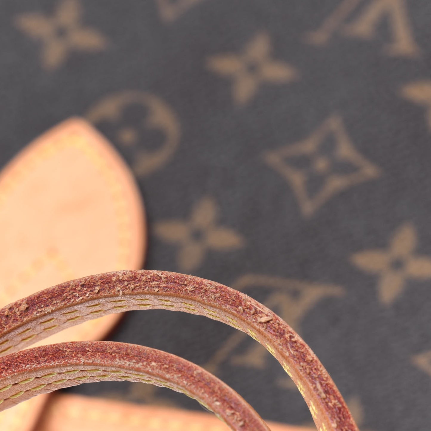 Monogram Neo Neverfull MM