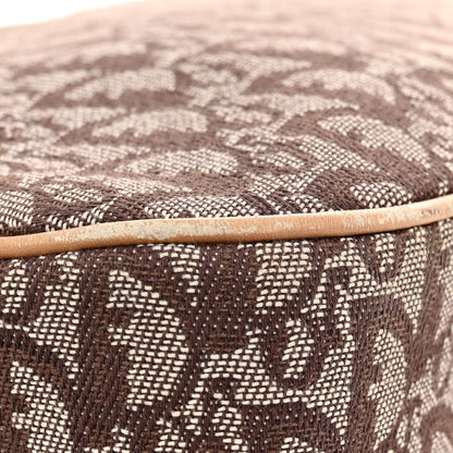 Christian Dior Monogram Saddle Bowler Brown 22 of 23