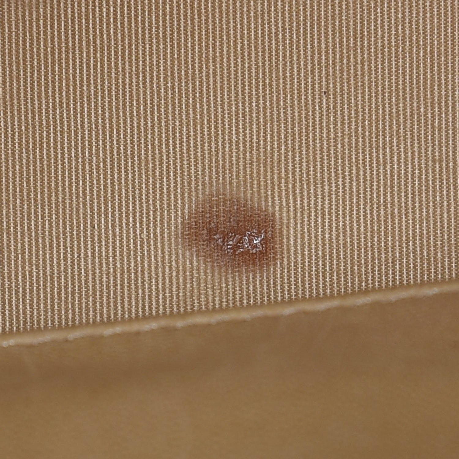 Chanel Canvas Camellia N°5 Tote Beige 14 of 21