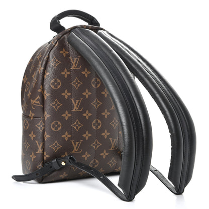 Louis Vuitton Monogram Palm Springs Backpack PM 3 of 7