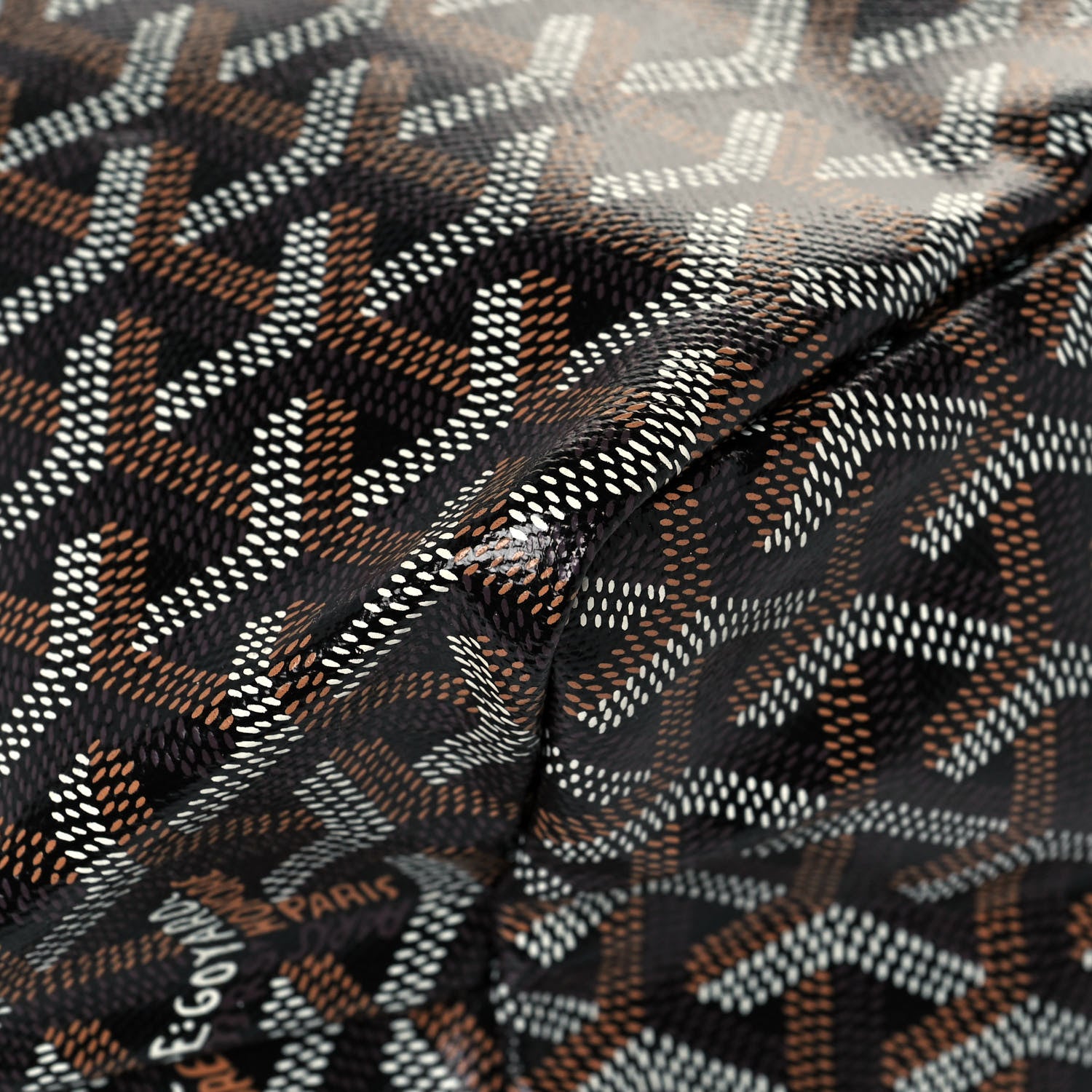 Goyard Goyardine Saint Louis PM Black 10 of 11