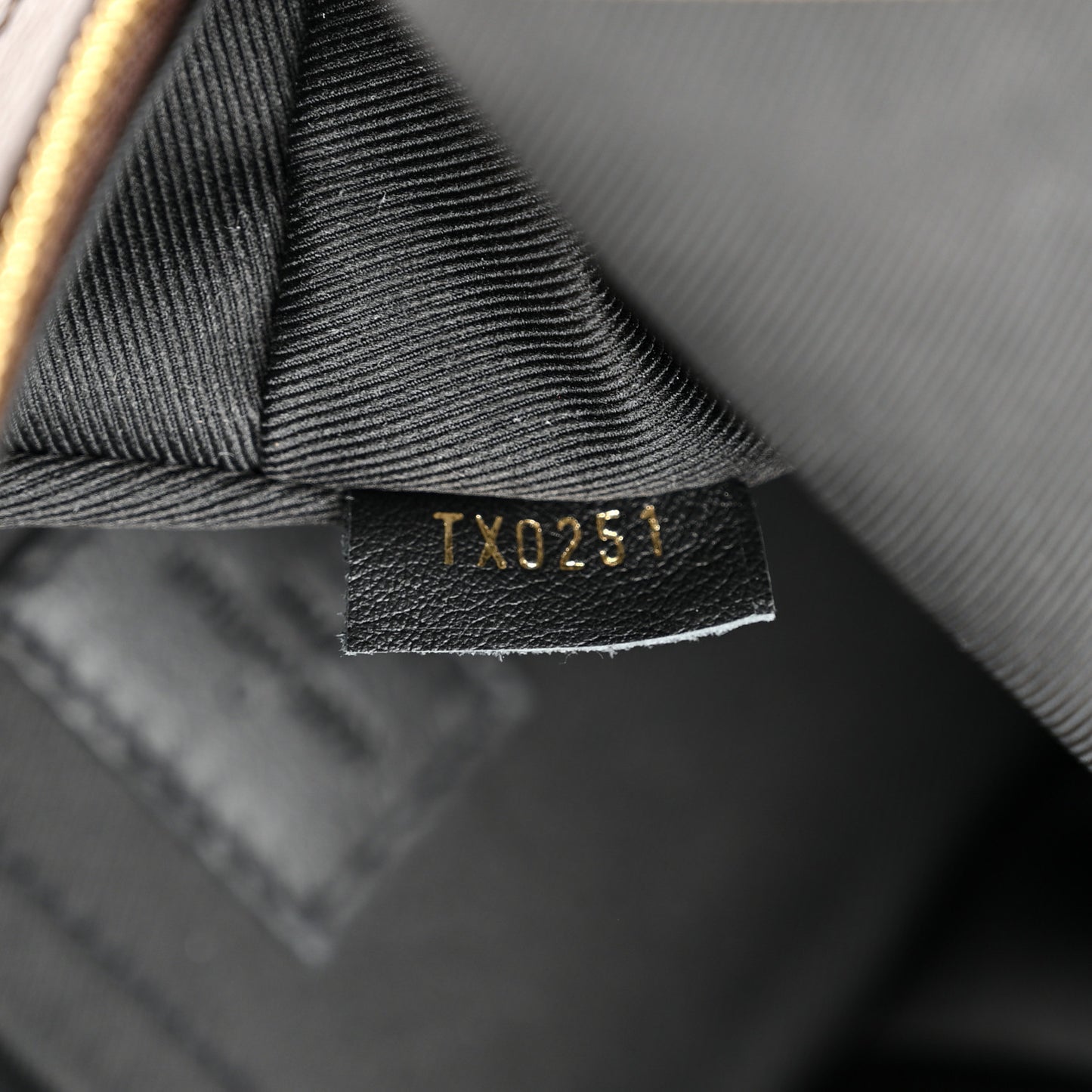Monogram Palm Springs Backpack Mini