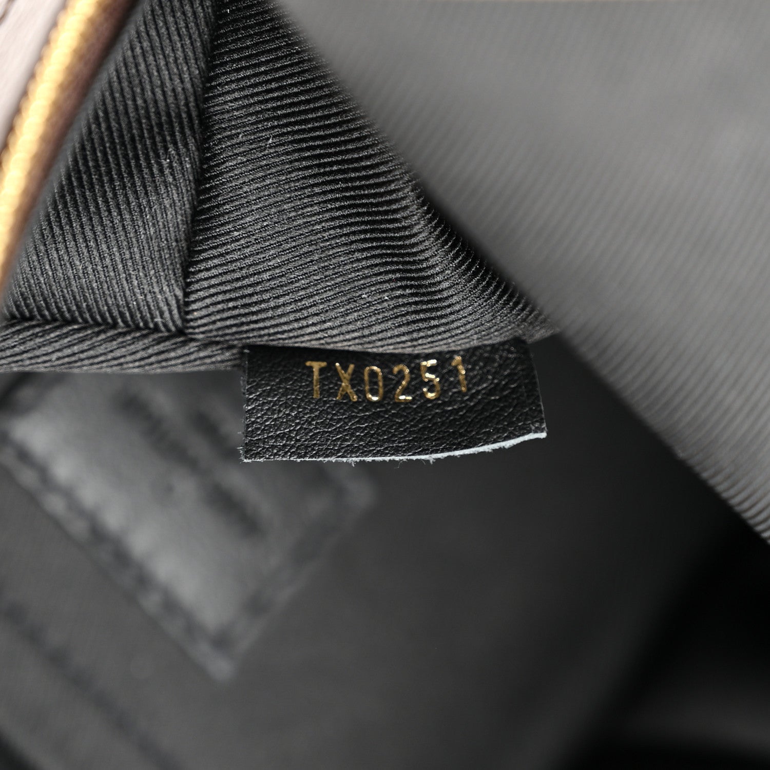 Louis Vuitton Monogram Palm Springs Backpack Mini 7 of 10