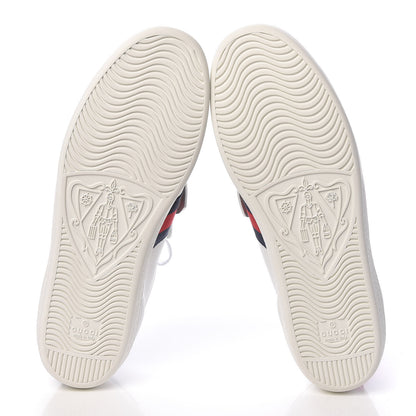 Gucci Calfskin Ayers Web Womens Ace Bow Lace Sneakers 40.5 White 5 of 11