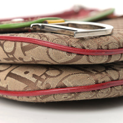 Christian Dior Monogram Rasta Double Saddle Beige 8 of 16