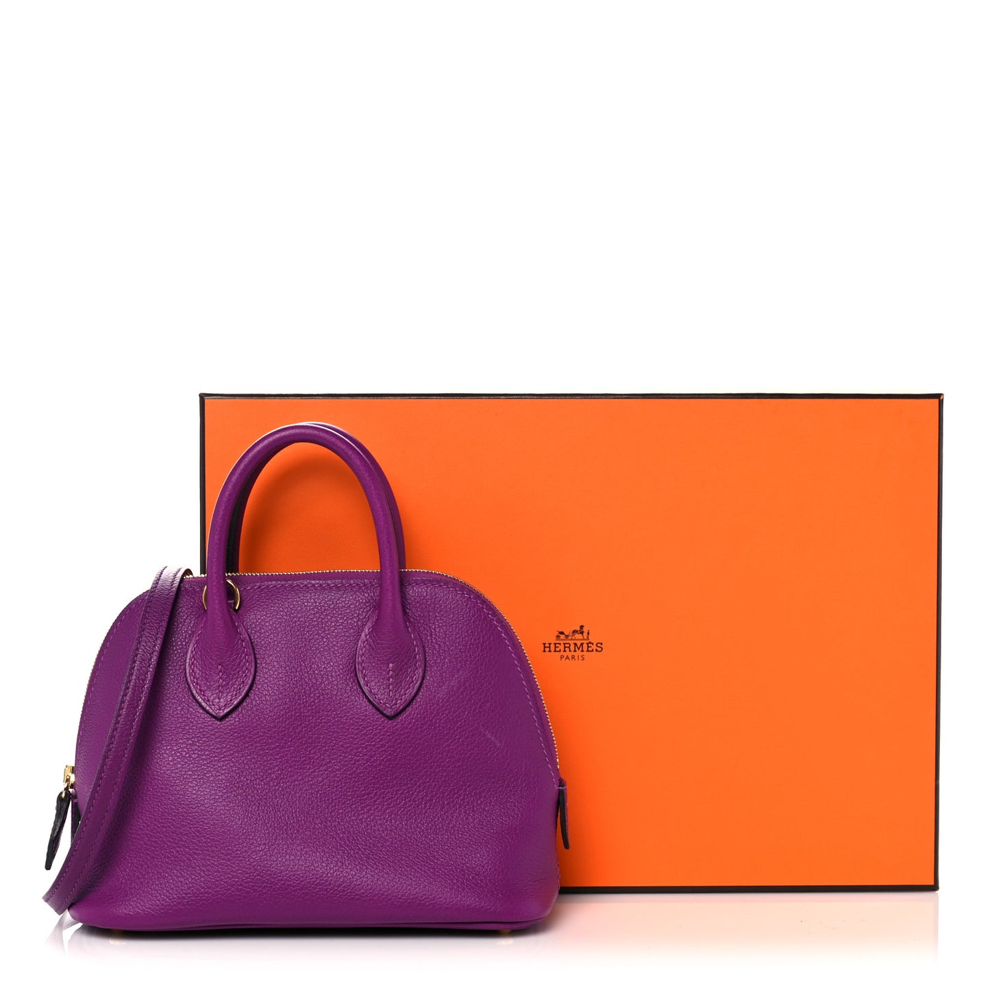 Evercolor Mini 1923 Bolide Anemone