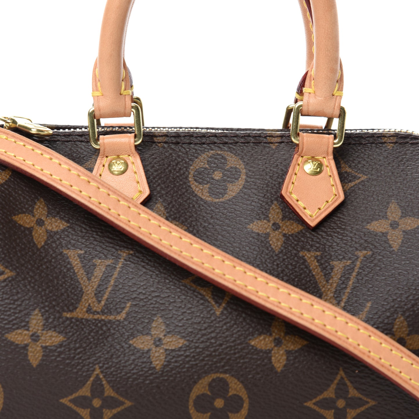 Monogram Nano Speedy
