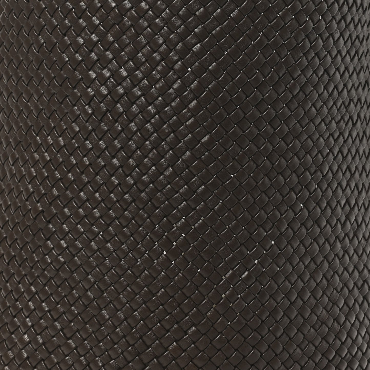 Woven Calfskin Medium N/S Tote Bag Dark Brown