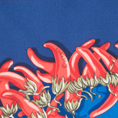 Hermes Silk Aux Pays Des Epices Scarf 90 6 of 8