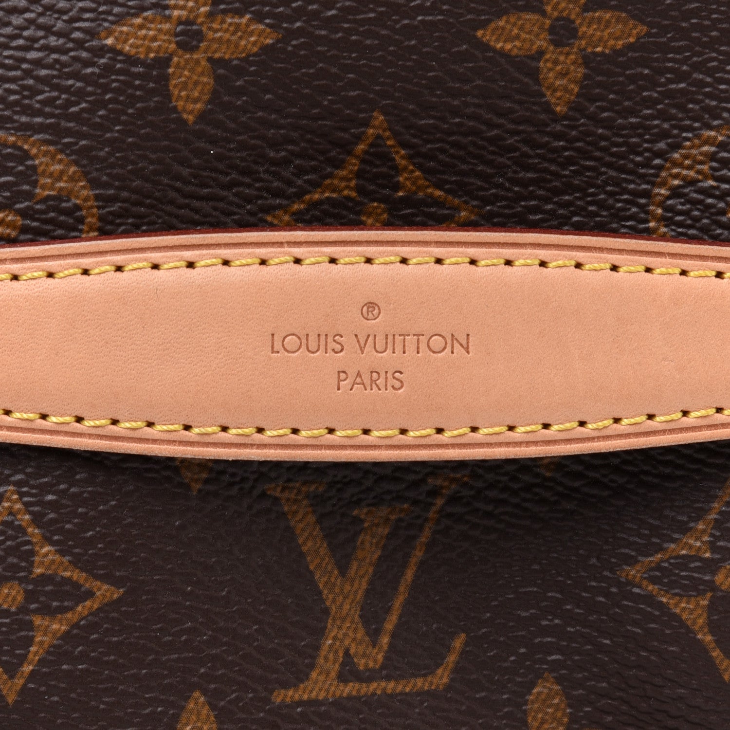 Louis Vuitton Monogram Bumbag 8 of 13