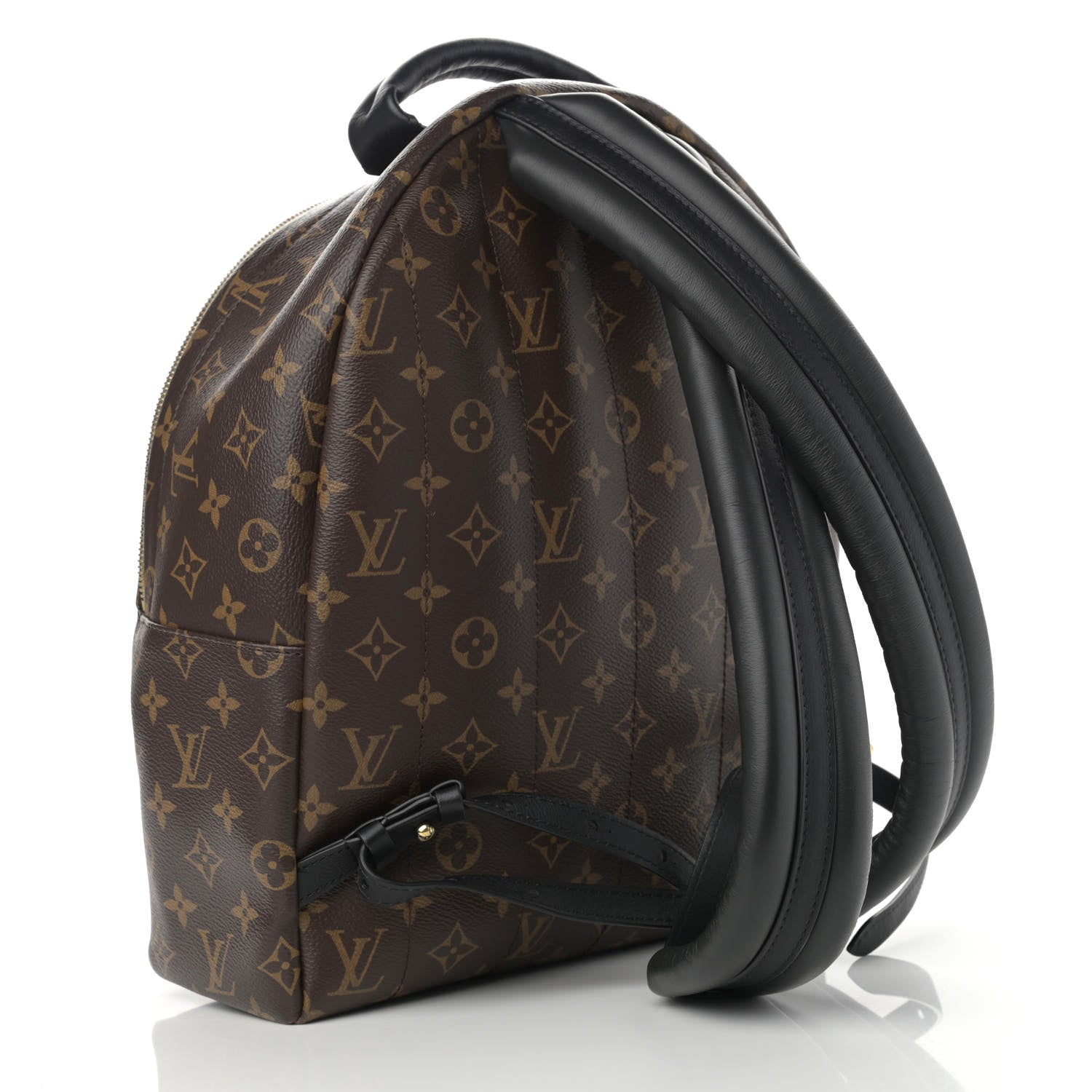 Louis Vuitton Monogram Palm Springs Backpack MM 3 of 10