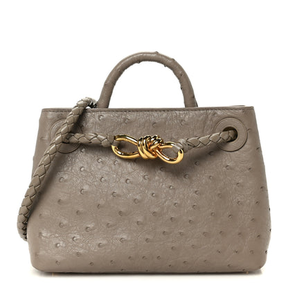 Bottega Veneta Ostrich Mini Andiamo Shoulder Bag Limestone 1 of 10