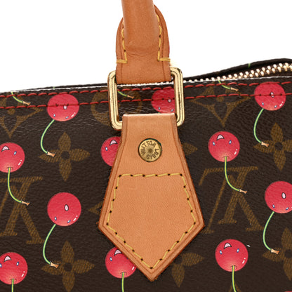 Louis Vuitton Monogram Cerises Speedy 25 14 of 14