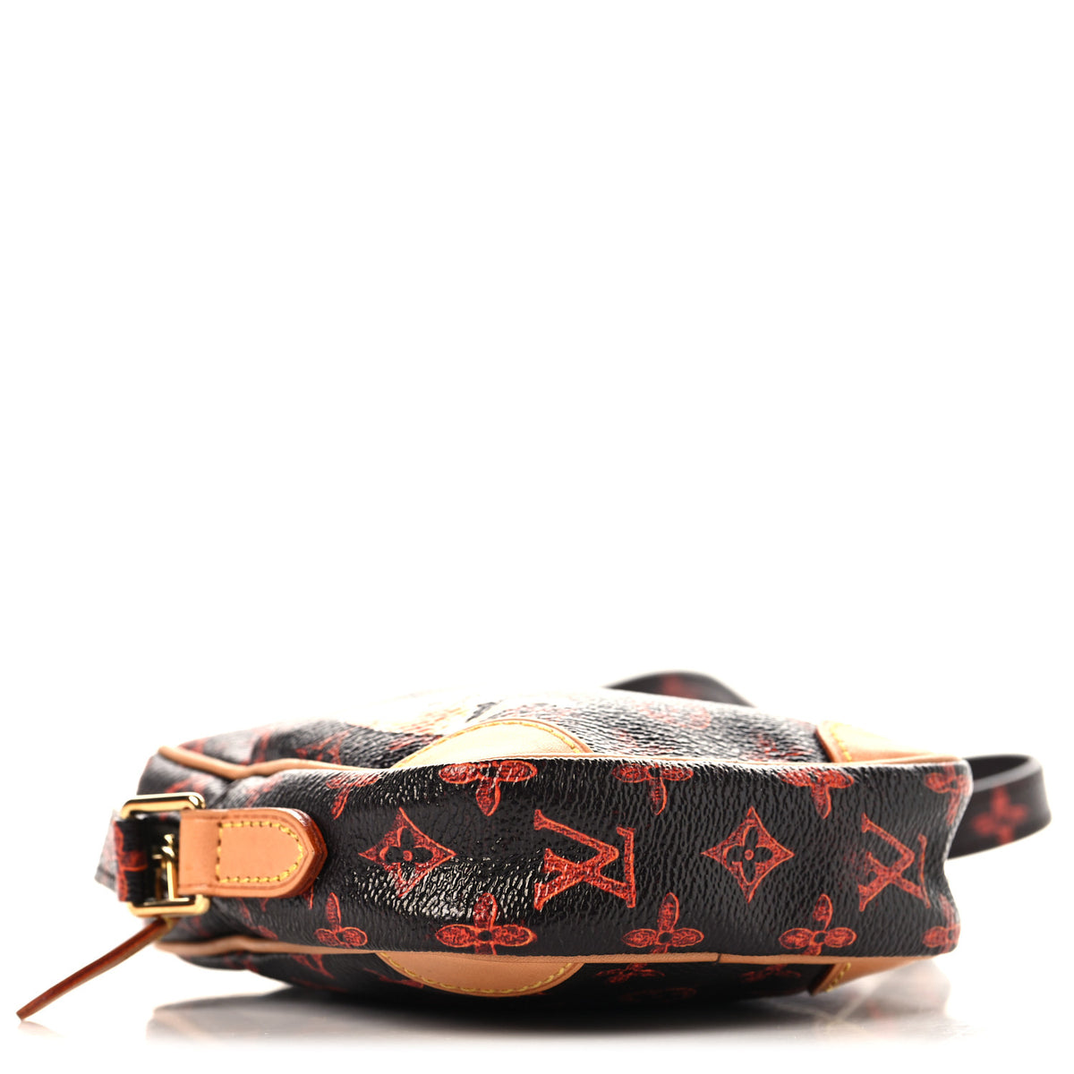 Louis Vuitton Catogram Small Paname Marron 4 of 9