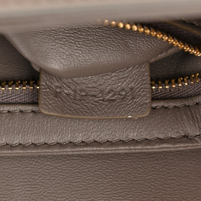 Celine Shiny Calfskin Teen Triomphe Pebble 8 of 11