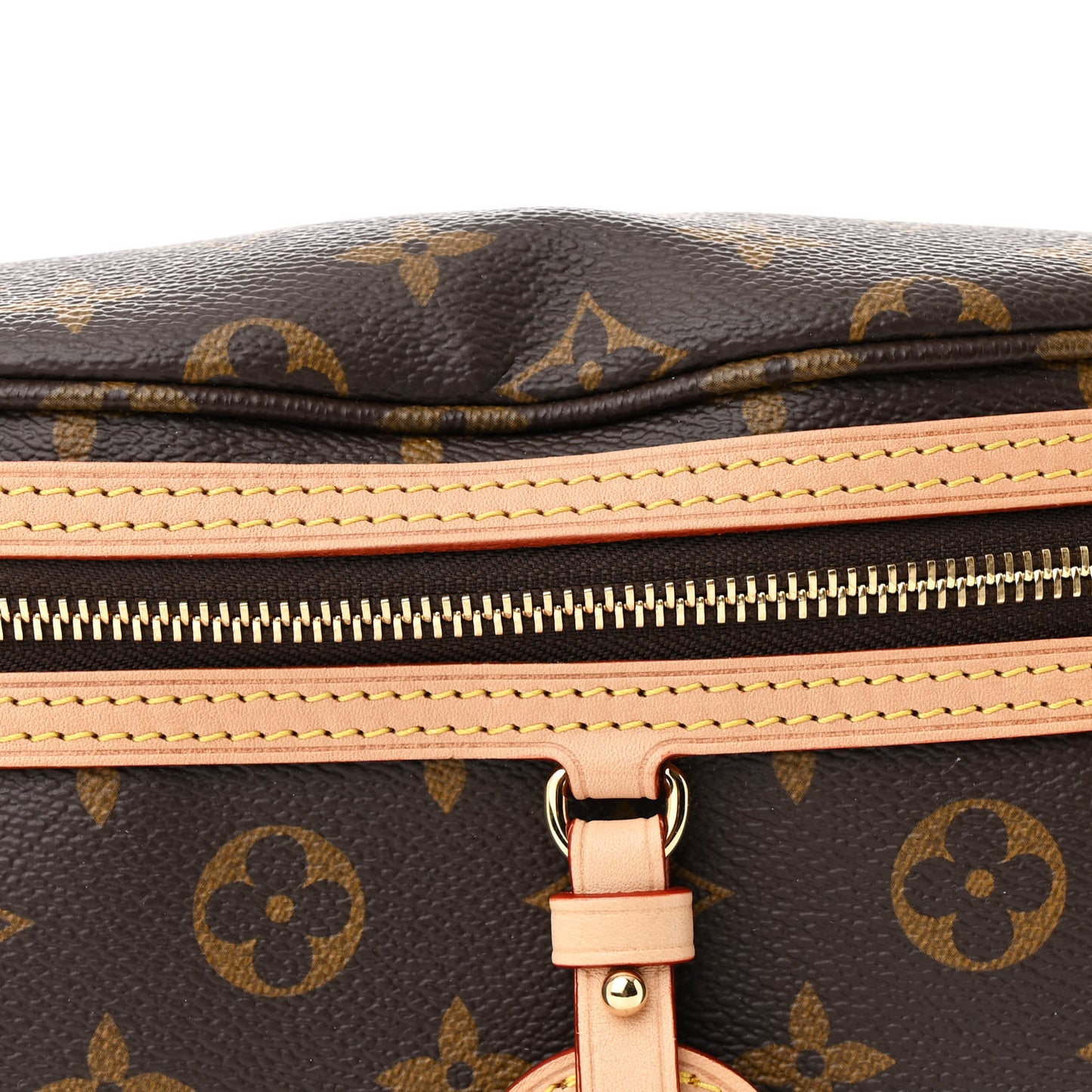 Monogram High Rise Bumbag