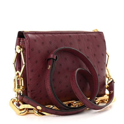 Louis Vuitton Ostrich Coussin BB Bordeaux 3 of 10