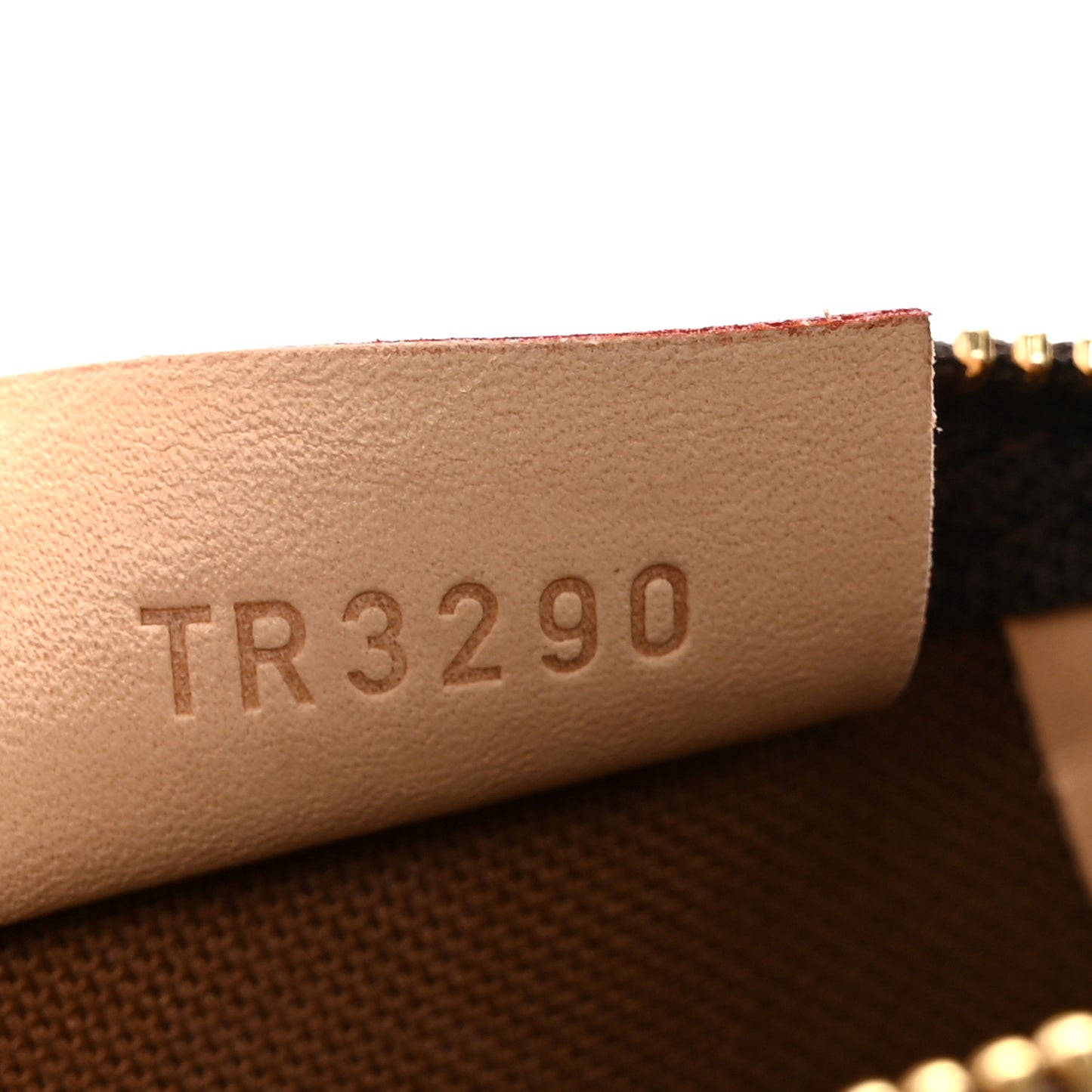 Monogram Nano Speedy