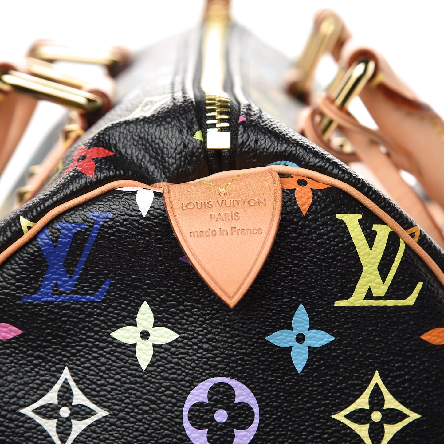 Monogram Multicolor Speedy 30 Black