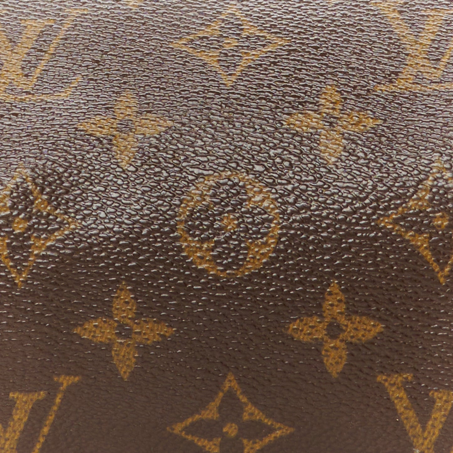 Monogram Papillon 26