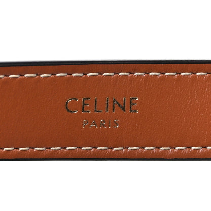 Celine Canvas Calfskin Ava Triomphe Shoulder Bag Grege 6 of 10
