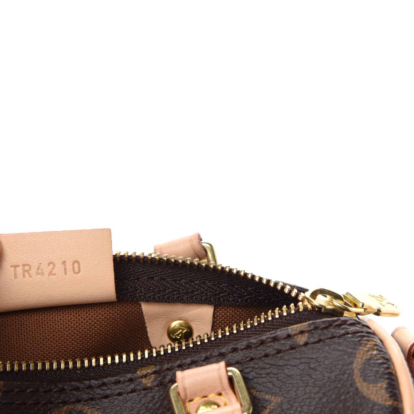 Monogram Nano Speedy