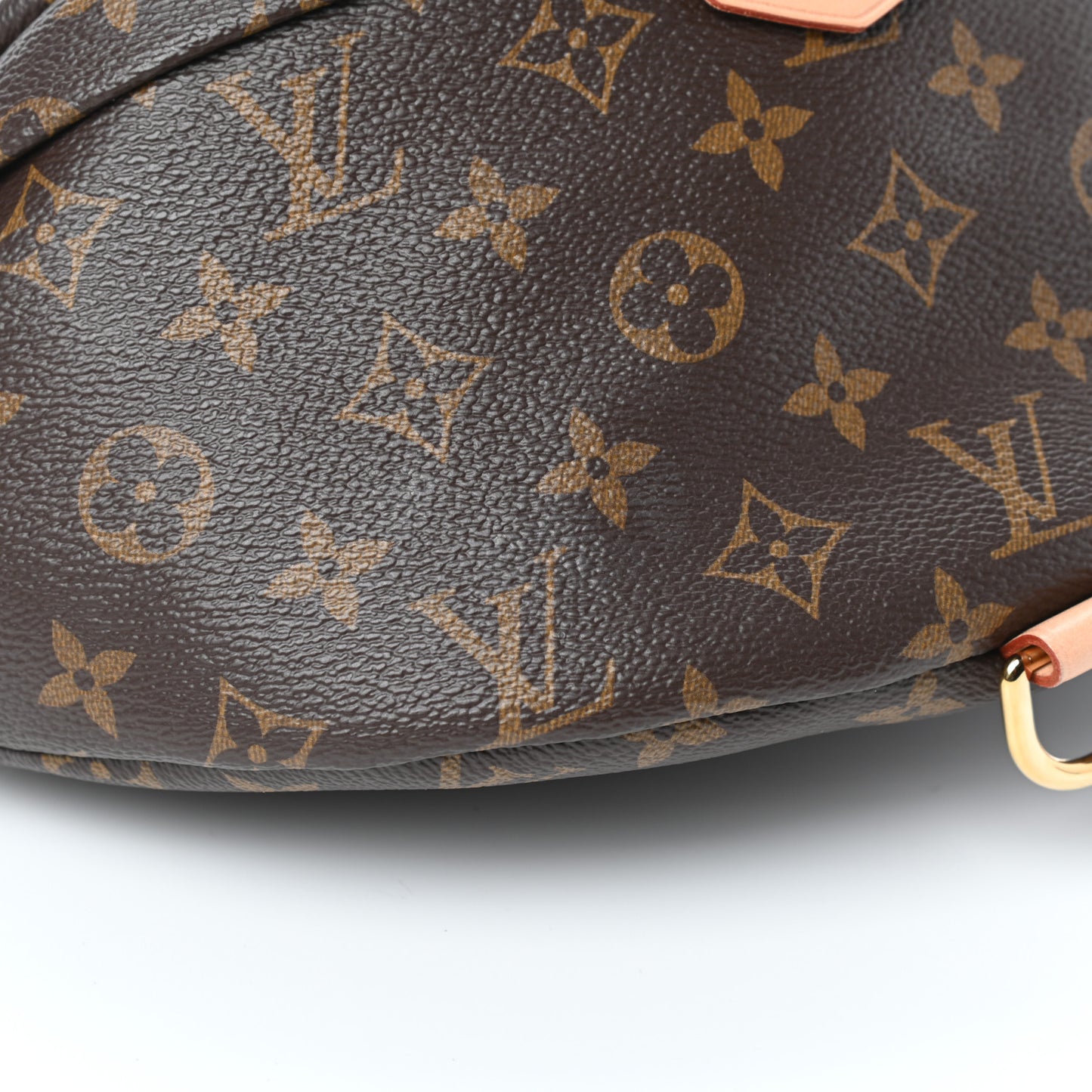 Monogram Bumbag