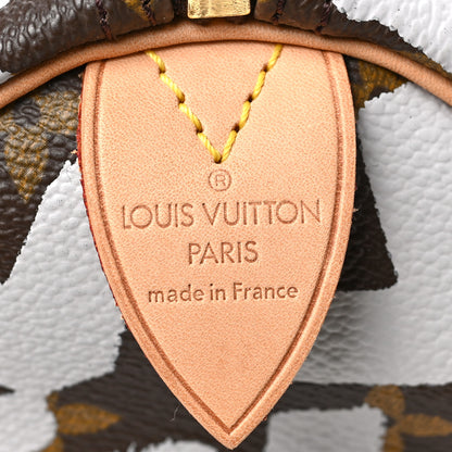Louis Vuitton Monogram Graffiti Speedy 30 Silver 6 of 8