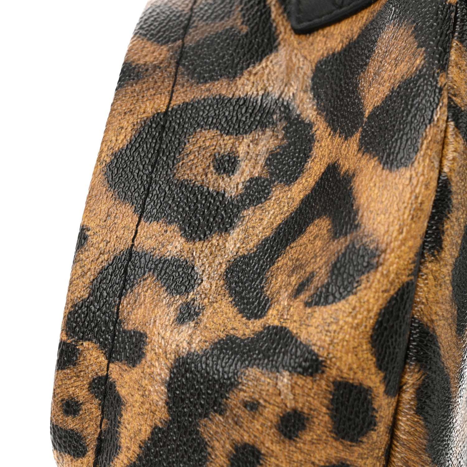 Louis Vuitton Wild Animal Print Palm Springs Backpack PM 11 of 13