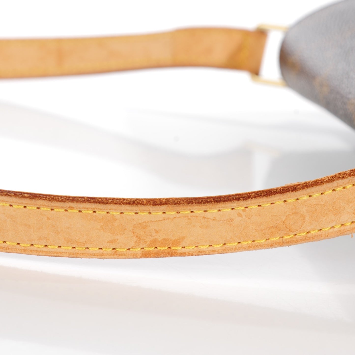 Monogram Musette Salsa