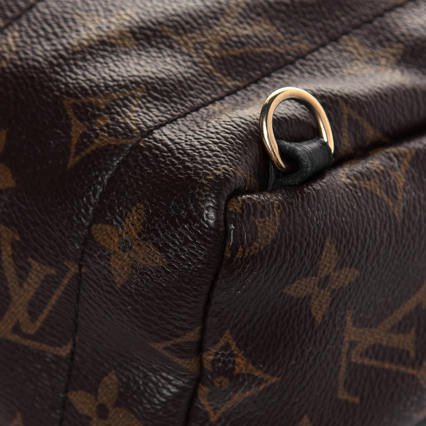 Monogram Palm Springs Backpack Mini