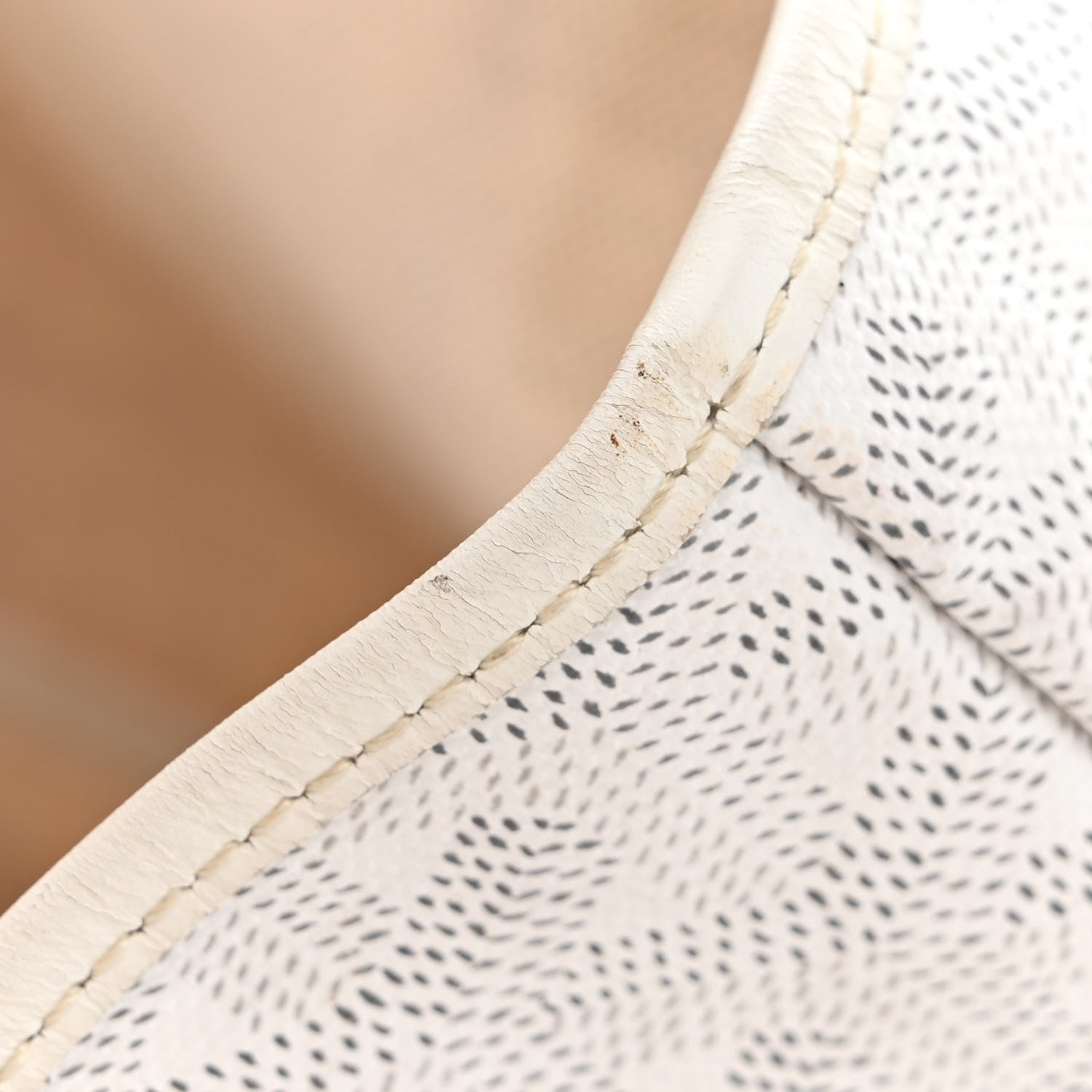 Goyard Goyardine Saint Louis PM White 21 of 22