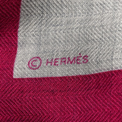 Hermes Cashmere Silk Chevaux Au Pre Shawl 140 Fuchsia 3 of 4