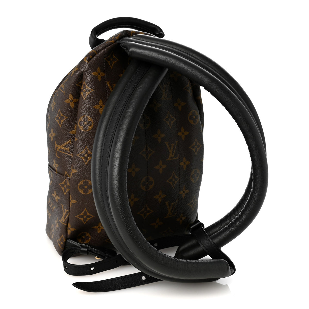 Monogram Palm Springs Backpack PM