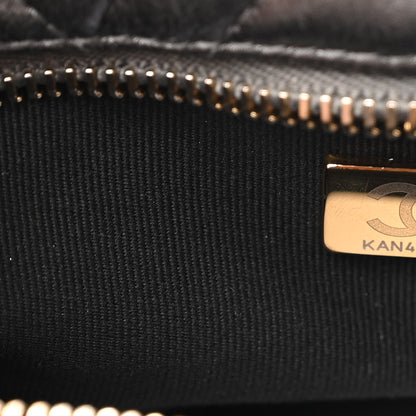 Chanel Metallic Calfskin Pearl Quilted CC Mini Camera Case Ruthenium 7 of 12