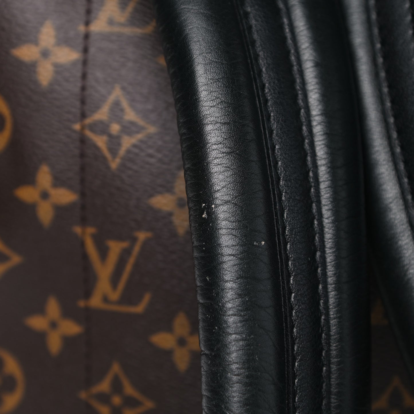 Monogram Palm Springs Backpack PM