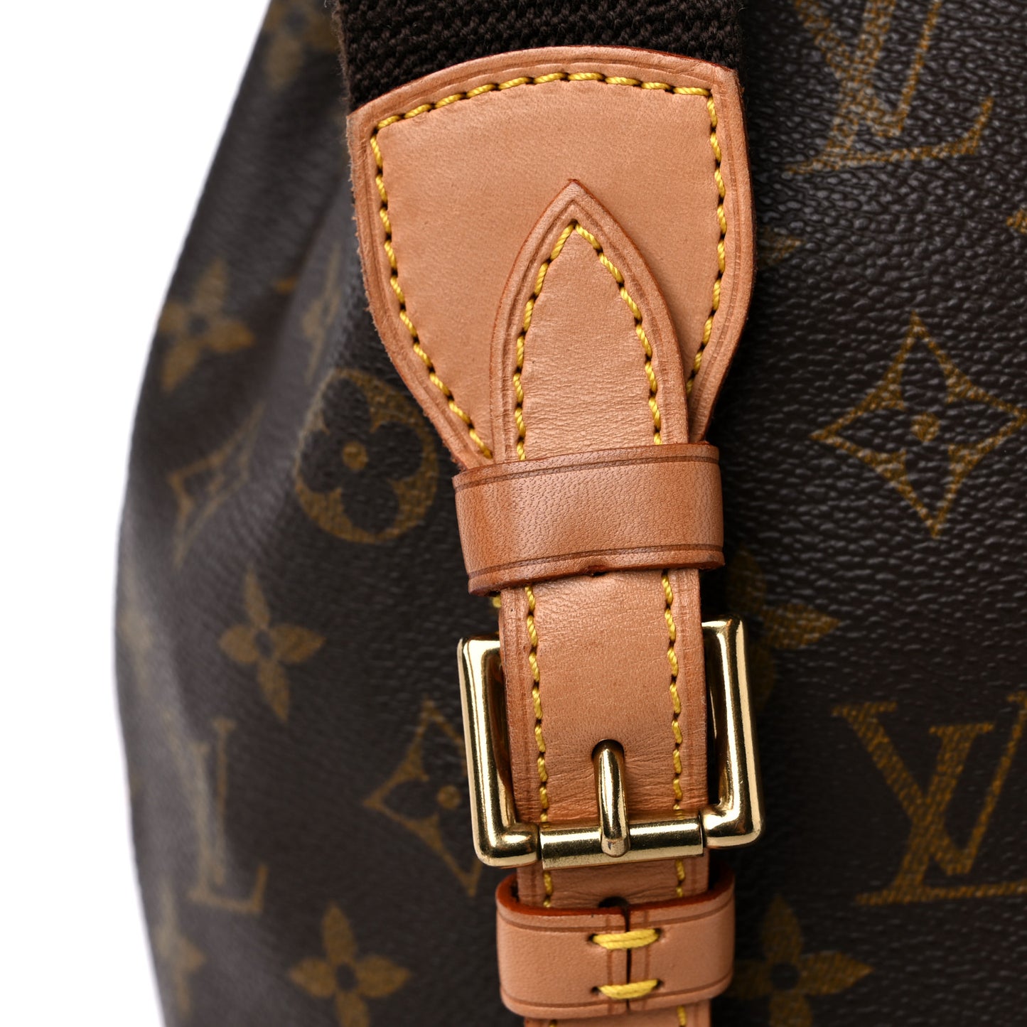 Monogram Montsouris GM Backpack