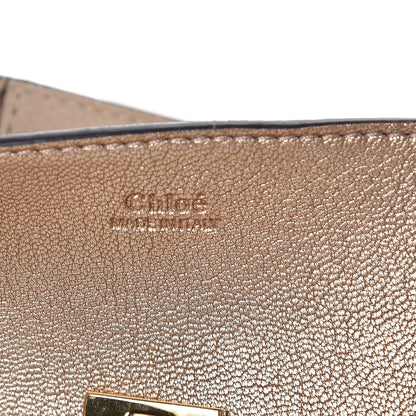 Chloe Metallic Grained Goatskin Nano Drew Shoulder Bag Abstract Gold 6 of 9
