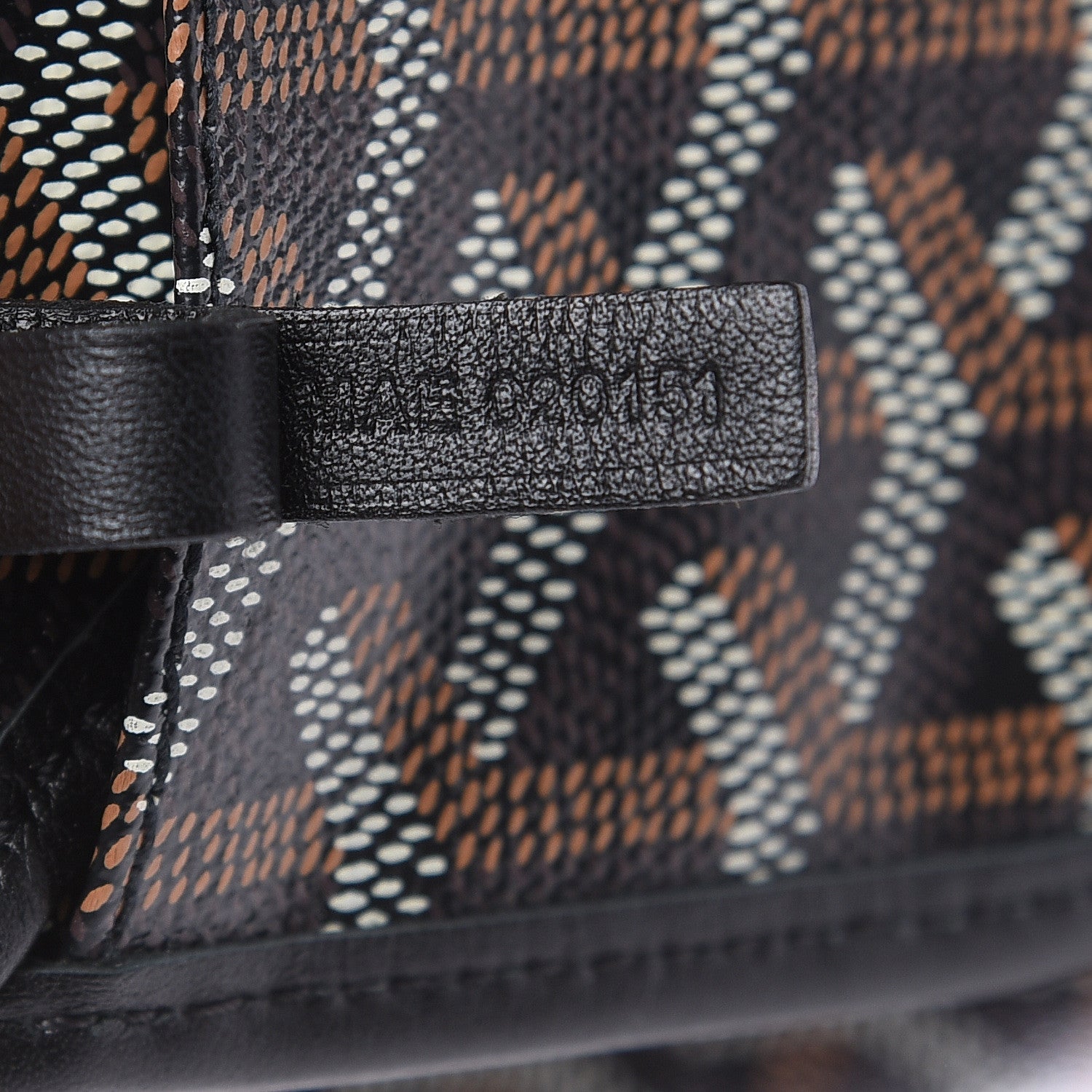 Goyard Goyardine Saint Louis PM Black 7 of 9