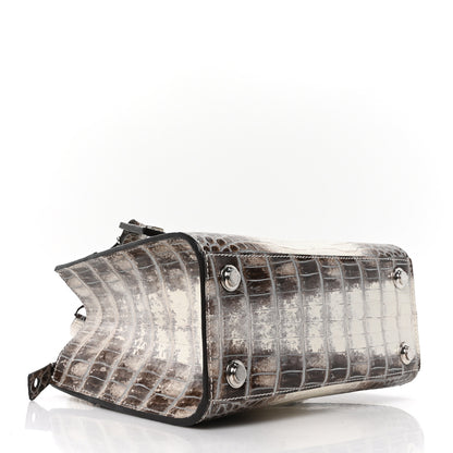 Louis Vuitton Himalaya Crocodile Mini City Steamer 4 of 9