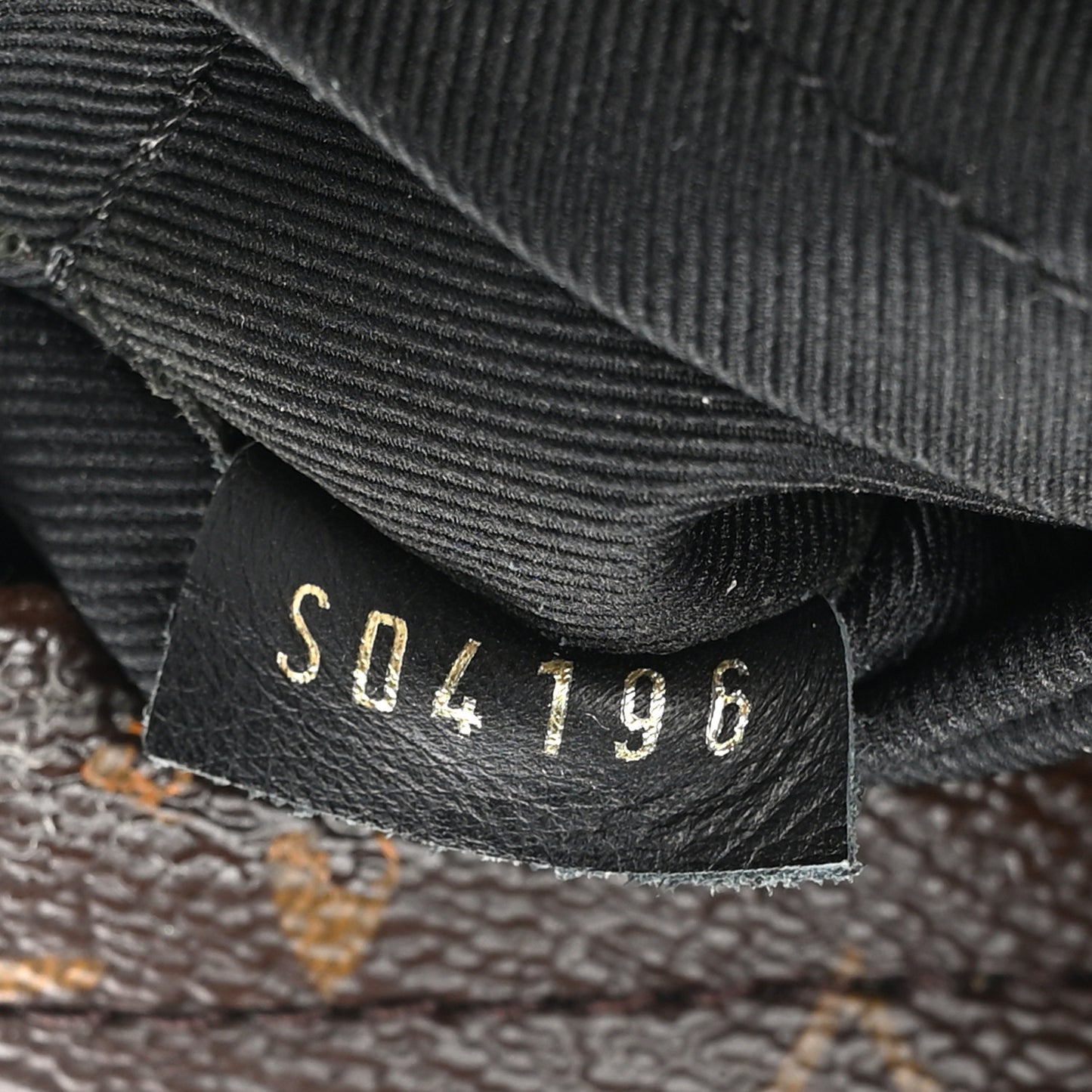 Monogram Palm Springs Backpack Mini