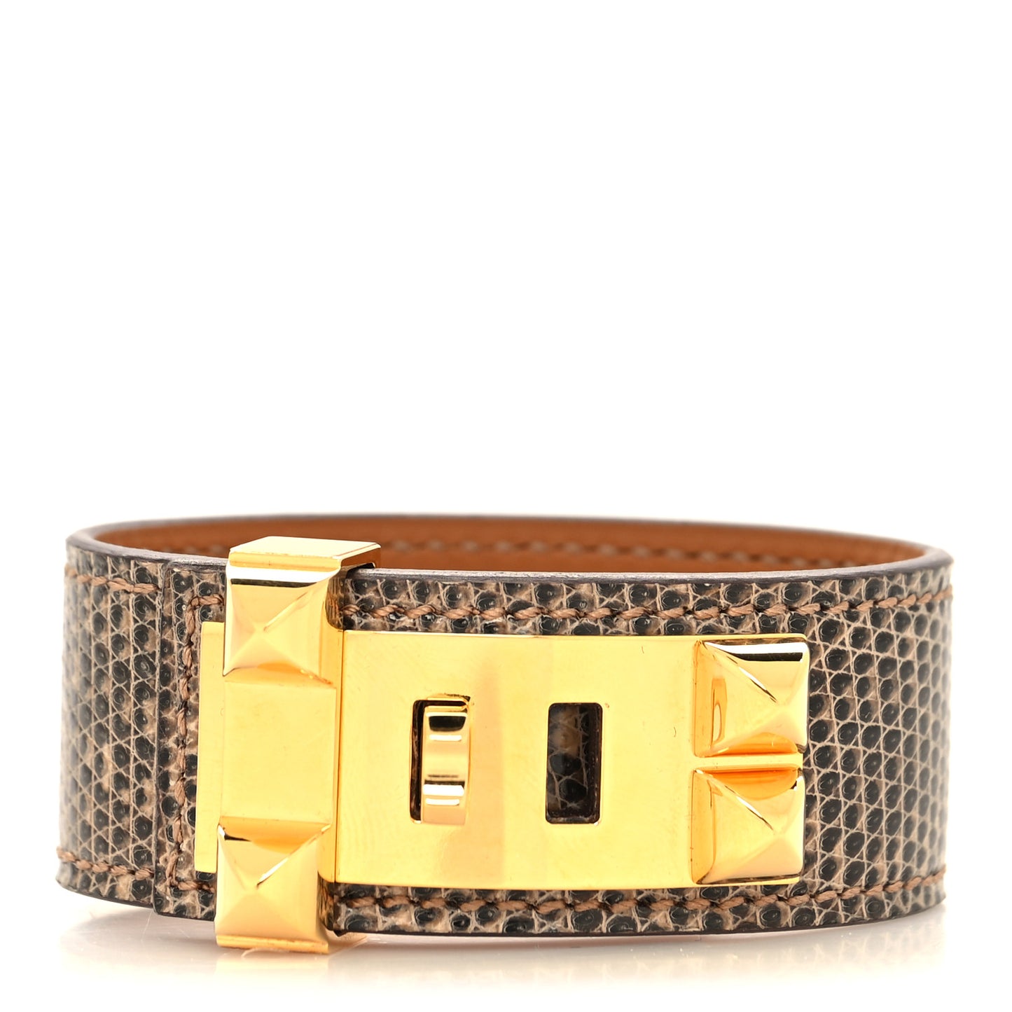 Lizard Collier de Chien CDC 24 Bracelet T2 Ombre