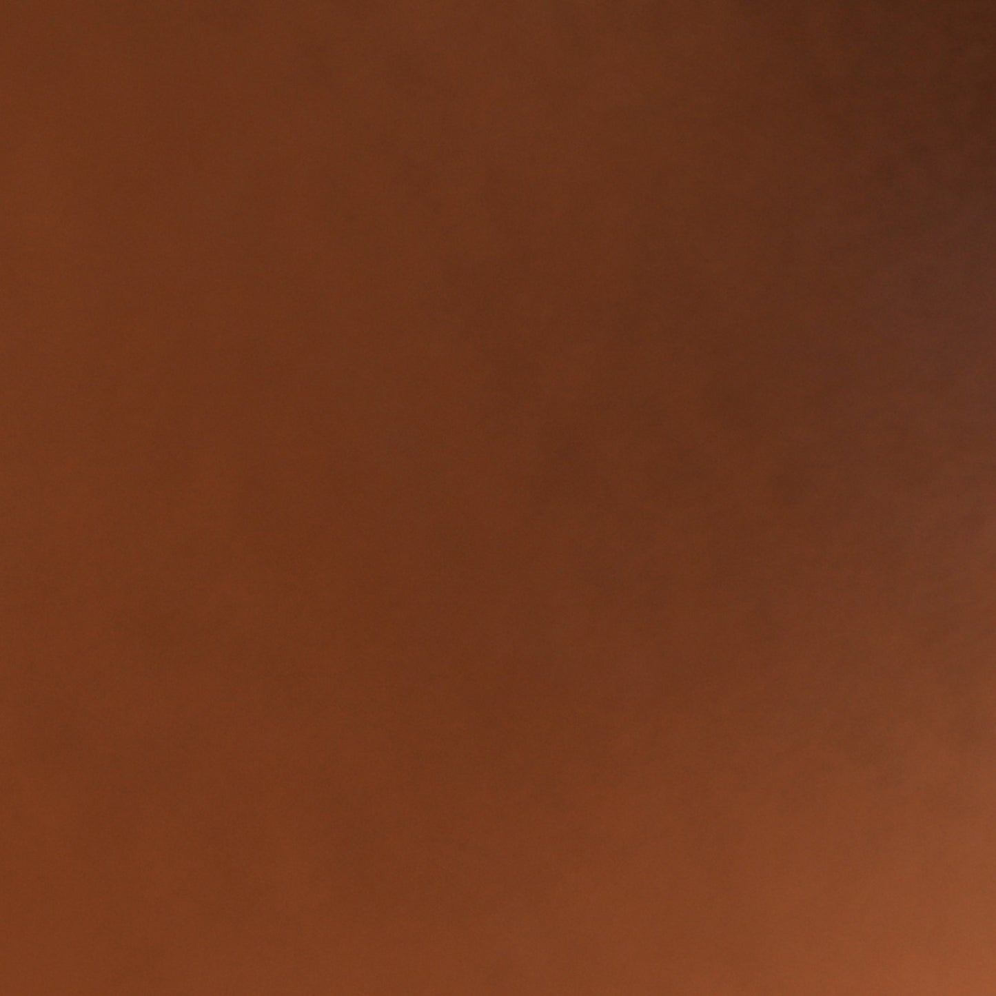 Epsom Bearn Compact Wallet Gold