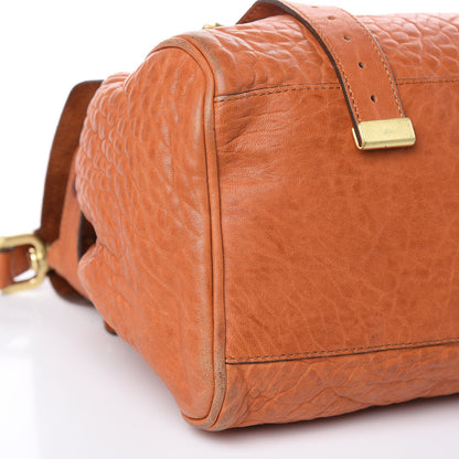 Mulberry Large Grain Nappa Medium Alexa Pumpkin 8 of 22