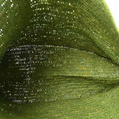 Loewe Raffia Paulas Ibiza Fold Shopper Tote Green 5 of 11