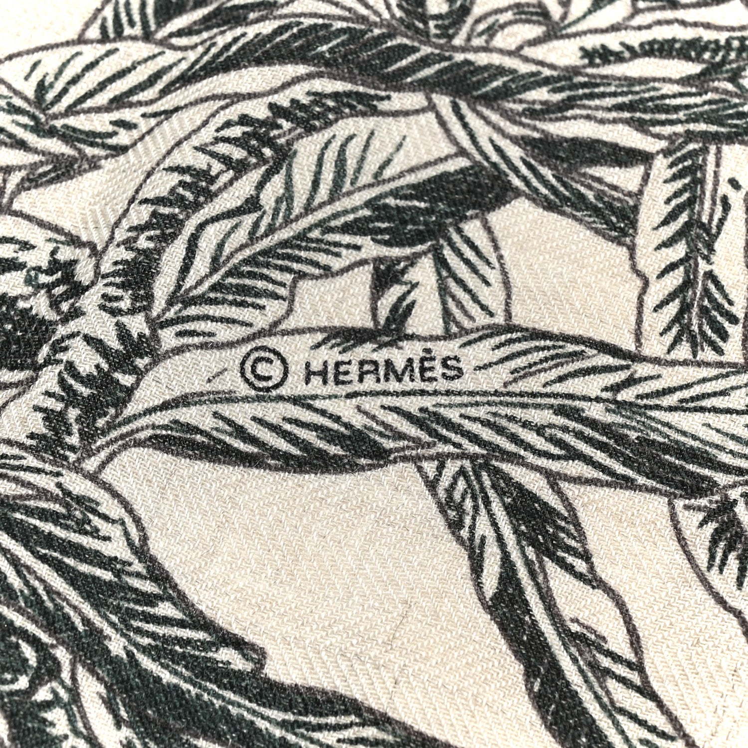 Hermes Cashmere Silk All 'Orto Botanico Di Palermo Shawl 140 Vert Loden Naturel Encre 3 of 4